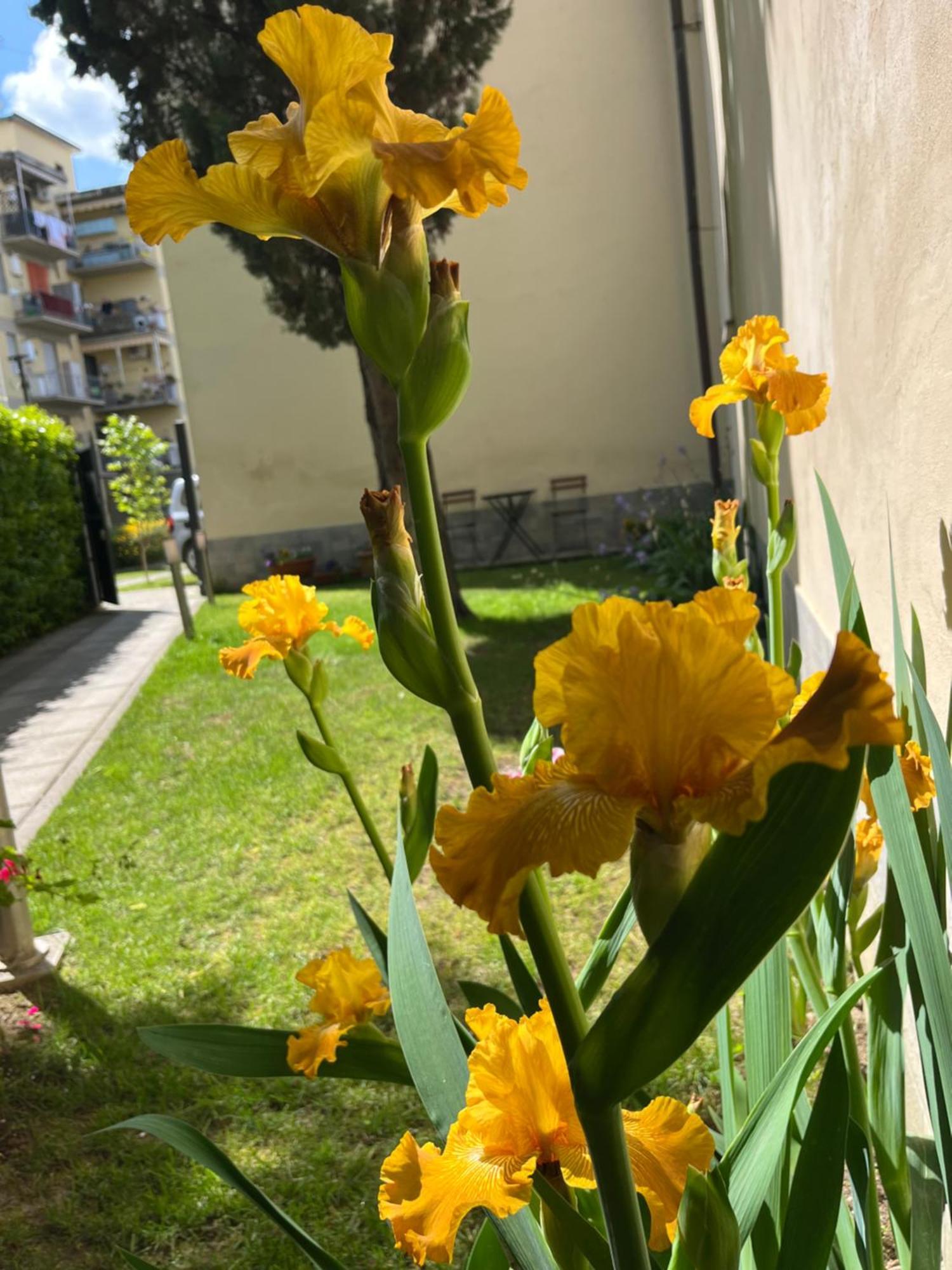 Dalu Florence Apartment Lucilla - Private Car Park 15 Minutes To The City Center Florença Exterior foto